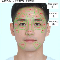 面相十二宮總覽(twelve-palaces | 男性)